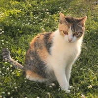 nhóc
