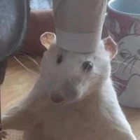 Người không có ý tốt