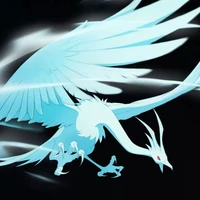 Fly