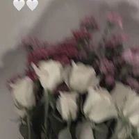 tất cả topbot trừ HĐD