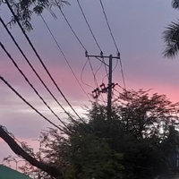 tất cả trừ NQT