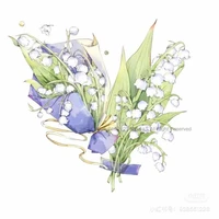 t/g- Triyeon