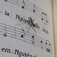 Nhân vật bí ẩn