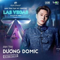 dương domic