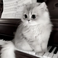 Hệ thống 201{Giao giao}