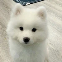 hệ thống 302{Thanh Duy}