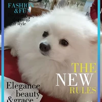 t/g(mẹ đẻ của cái chuyện)