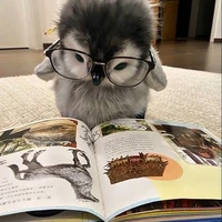 T/G chiều đọc giả nhất