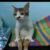 tất cả ( - ai thì trừ)