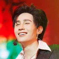 quang huy( vịt con)