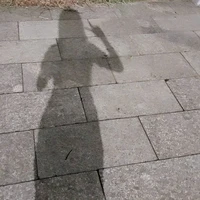 tg cừu đây (út cừu)