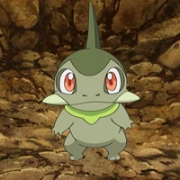 Kibago/Iris