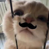 95% là sai,tg đẹp trai là đúng thiệttt