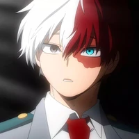 Todoroki Shoto (Shoto)