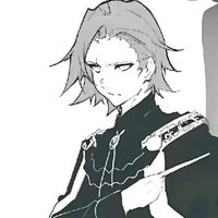 Sion Ulster