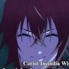 Cariot Incindia Wiseman