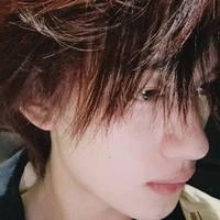 Đinh Trình Hâm