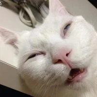 Tổn
