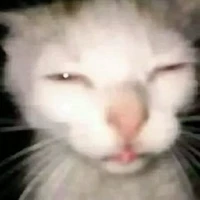 Pii
