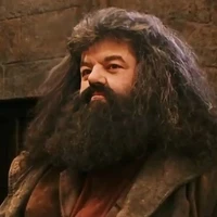 Rubeus Hagrid