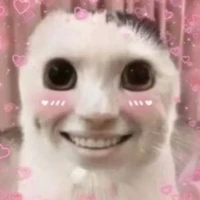 tg thik vt nhưng lười