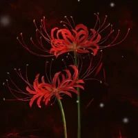 đội 7 và một số người