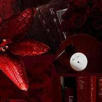 Nhân vật bí ẩn