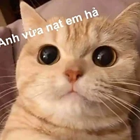 tác giả cute phô mai