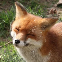 tg thích ngược / hydro 💤