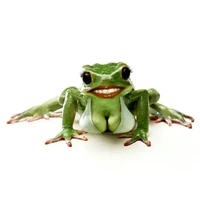 chúng sinh bình đẳng tao bình tĩnh