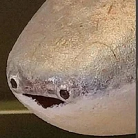 @kawaahaha