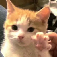 người đẹp gái nè:3