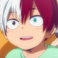Todoroki Shoto