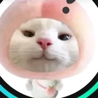 Quân Tử Đẹp Trai