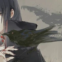 Hệ Thống | Sucac