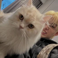 Phan Đức Nhật Hoàng