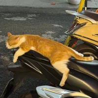 Nguyễn Hoàng Bách