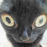 t/g hơi bị khùng:)