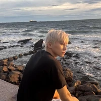 Lê Hồng Sơn