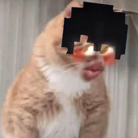 Tác giả bị skibidu