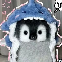 hệ thống ( tác giả)