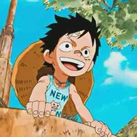 Luffy baby
