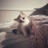 eris