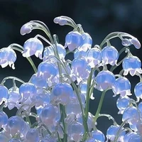 All (trừ ai thì trừ)