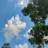 nhân vật phụ