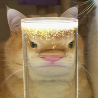 t/g này bị điên