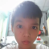 Lê Hà Tuấn Anh