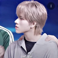 Đỗ Nam Sơn (em)