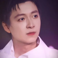 Ngô Kiến Huy(anh các top)