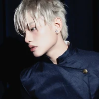 Bùi Trường Linh ( Bạch Dương )